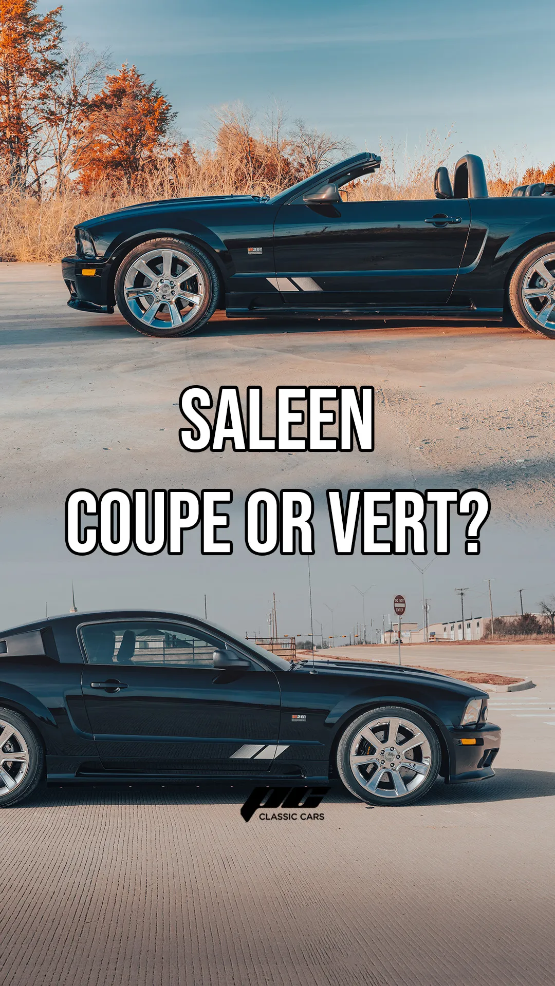 Saleen Coupe or Vert
